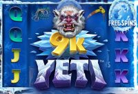 Игровой автомат 9k Yeti