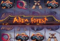 Игровой автомат Alien Forest