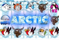 Игровой автомат Arctic Wild