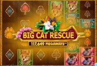 Игровой автомат Big Cat Rescue MegaWays