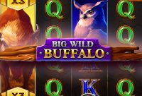 Игровой автомат Big Wild Buffalo