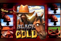 Игровой автомат Black Gold