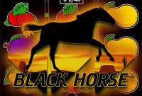 Игровой автомат Black Horse
