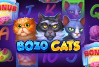 Игровой автомат Bozo Cats