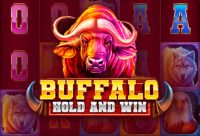 Игровой автомат Buffalo Hold and Win