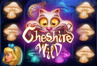 Игровой автомат Cheshire Wild