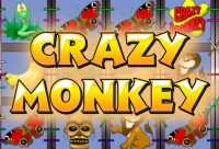 Игровой автомат Crazy Monkey