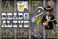 Игровой автомат Dead or Alive