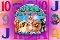 Игровой автомат Doggone Lucky!