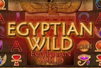 Игровой автомат Egyptian Wild