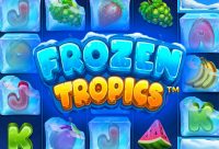 Игровой автомат Frozen Tropics