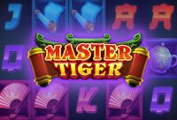 Игровой автомат Master Tiger