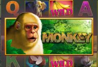 Игровой автомат Monkey