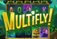 Игровой автомат Multifly