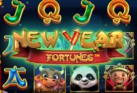 Игровой автомат New Year Fortunes