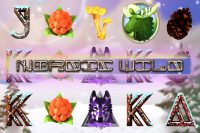 Игровой автомат Nordic Wild