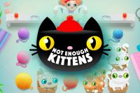 Игровой автомат Not Enough Kittens
