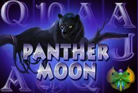 Игровой автомат Panther Moon