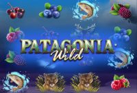 Игровой автомат Patagonia Wild