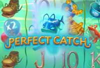 Игровой автомат Perfect Catch