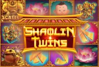 Игровой автомат Shaolin Twins