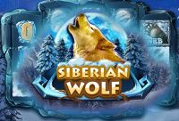 Игровой автомат Siberian Wolf