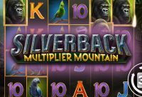 Игровой автомат Silverback Multiplier Mountain
