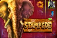 Игровой автомат Stampede
