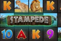 Игровой автомат Stampede