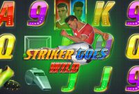 Игровой автомат Striker Goes Wild