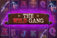 Игровой автомат The Wild Gang