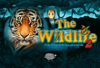 Игровой автомат The Wildlife 2