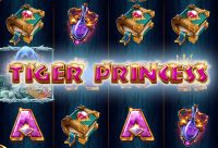 Игровой автомат Tiger Princess