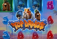 Игровой автомат Top Dawg$