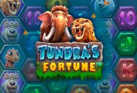 Игровой автомат Tundra’s Fortune
