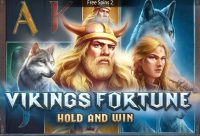 Игровой автомат Vikings Fortune: Hold and Win