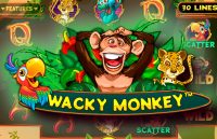 Игровой автомат Wacky Monkey