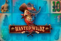 Игровой автомат Wanted Wildz