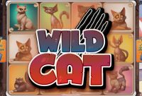 Игровой автомат Wild Cat