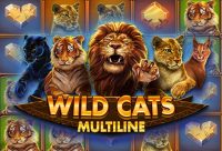 Игровой автомат Wild Cats Multiline