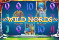 Игровой автомат Wild Nords