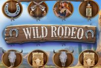 Игровой автомат Wild Rodeo