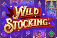 Игровой автомат Wild Stocking