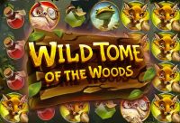 Игровой автомат Wild Tome of the Wood