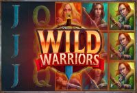 Игровой автомат Wild Warriors