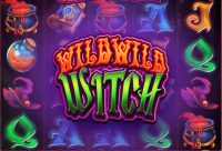 Игровой автомат Wild Wild Witch
