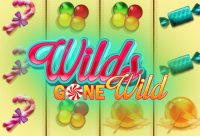 Игровой автомат Wilds Gone Wild
