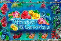 Игровой автомат Winterberries