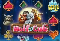 Игровой автомат Wolf Cub
