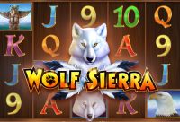 Игровой автомат Wolf Sierra